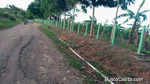 FINCA DE 570 TAREAS DE VENTA EN SAN FRANCISCO DE MACORÍS