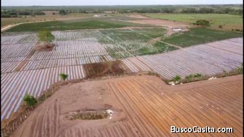 FINCA DE 1,500 TAREAS DE VENTA EN MONTE PLATA