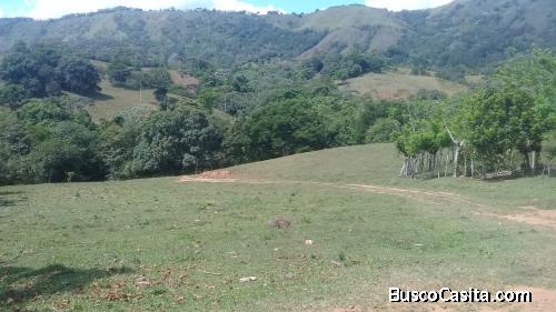 FINCA DE 850 TAREAS DE VENTA EN BONAO