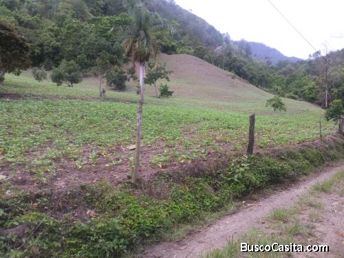 FINCA DE 1,500 TAREAS DE VENTA EN SAN JOSE DE OCOA