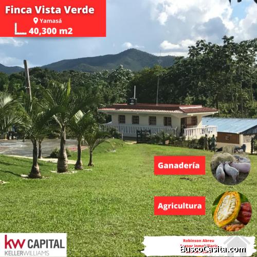 Finca en venta en Yamasá