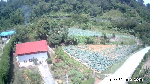 TERRENO DE 7 TAREAS CON UNA CABAÑA DE VENTA EN CONSTANZA