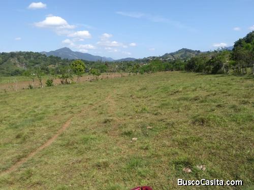 FINCA DE 850 TAREAS DE VENTA EN BONAO
