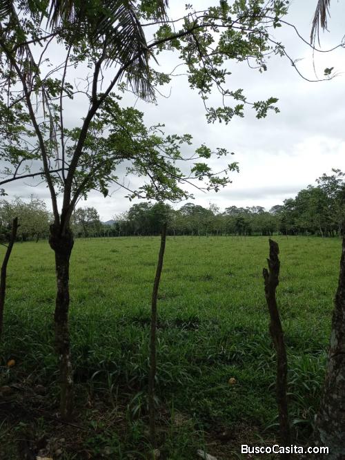 FINCA DE 126 TAREAS CON CASA Y RÍO DE VENTA EN BONAO