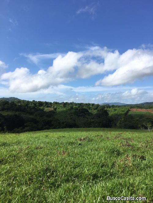 FINCA DE 250 TAREAS DE VENTA EN YAMASÁ