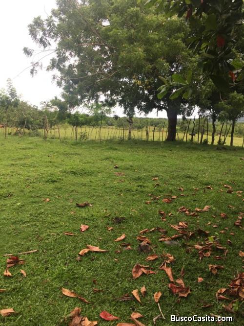 FINCA DE 497 TAREAS DE VENTA EN YAMASÁ MONTE PLATA