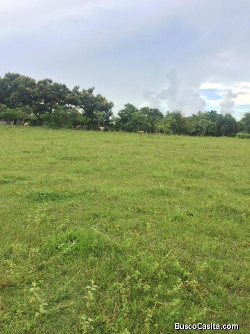 FINCA DE 497 TAREAS DE VENTA EN YAMASÁ MONTE PLATA