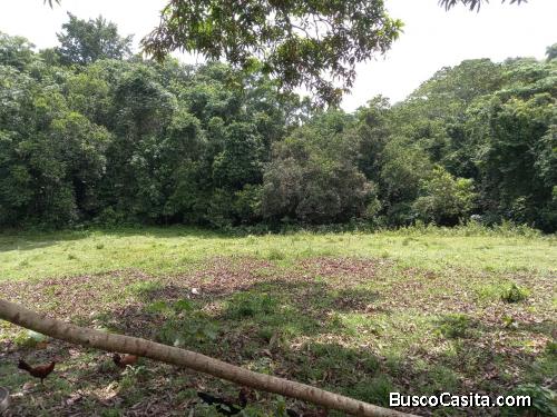 FINCA DE 4OO TAREAS DE VENTA EN MEDINA VILLA ALTAGRACIA