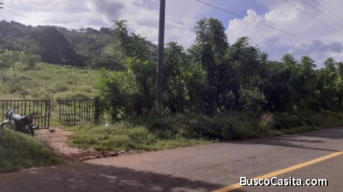 FINCA DE 2,500 TAREAS DE VENTA EN BONAO