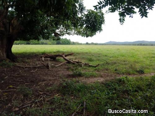 FINCA DE 3,400 TAREAS DE VENTA EN MONTE PLATA