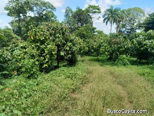 FINCA DE 600 TAREAS DE VENTA EN MONTE PLATA
