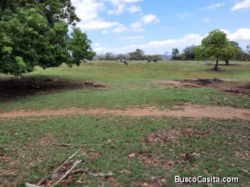FINCA DE 212 TAREAS DE VENTA EN MONTE CRISTI