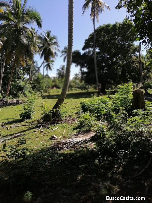 Se vende 10 tareas de terreno fértil, en El Frances, Camino a las Galeras, Samana