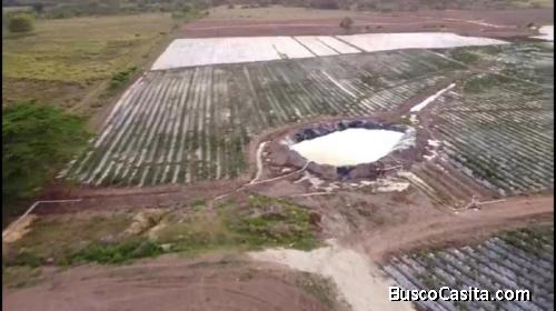 FINCA DE 1,500 TAREAS DE VENTA EN MONTE PLATA