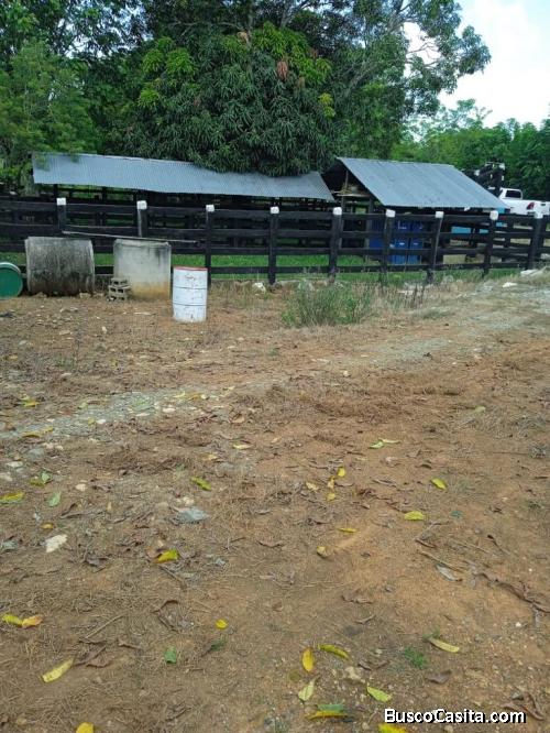 FINCA DE 6,300 TAREAS DE VENTA EN MONTE PLATA