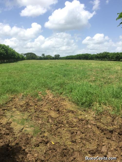 FINCA DE 1,900 TAREAS DE VENTA EN MONTE PLATA