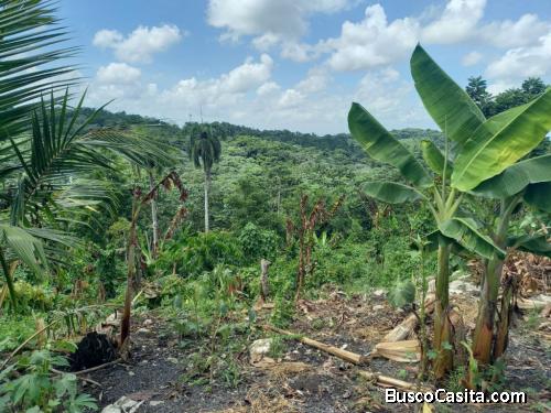 FINCA DE 600 TAREAS DE VENTA EN MONTE PLATA
