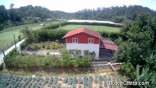 TERRENO DE 7 TAREAS CON UNA CABAÑA DE VENTA EN CONSTANZA