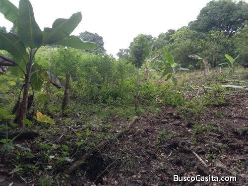FINCA DE 400 TAREAS DE VENTA EN MEDINA VILLA ALTAGRACIA