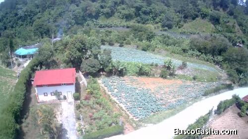TERRENO DE 7 TAREAS CON UNA CABAÑA DE VENTA EN CONSTANZA