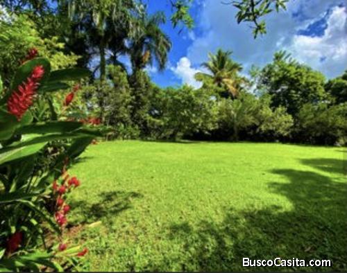 Finca en Pedro Brand