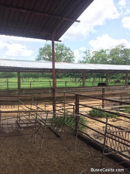 FINCA DE 1,900 TAREAS DE VENTA EN MONTE PLATA
