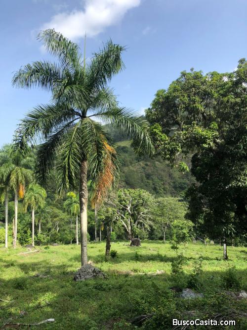 FINCA DE 130 TAREAS DE VENTA EN JARABACOA