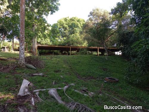 FINCA DE 140 TAREAS DE VENTA EN MEDINA VILLA ALTAGRACIA