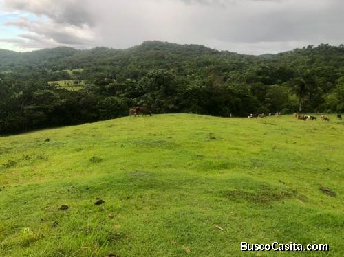 FINCA DE 700 TAREAS DE VENTA EN MONTE PLATA