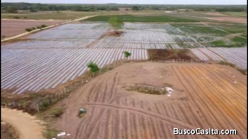 FINCA DE 1,500 TAREAS DE VENTA EN MONTE PLATA