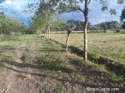 FINCA DE 45 TAREAS DE VENTA EN BONAO