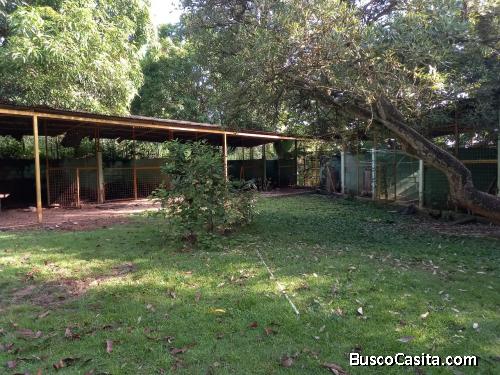 FINCA DE 140 TAREAS DE VENTA EN MEDINA VILLA ALTAGRACIA