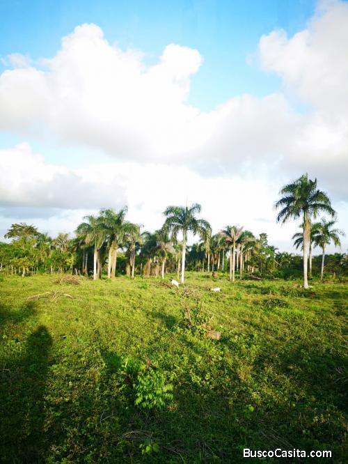 FINCA DE 1,600 TAREAS DE VENTA EN SAN PEDRO DE MACORÍS