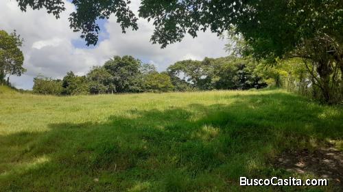 FINCA DE 217 TAREAS DE VENTA EN YAMASÁ