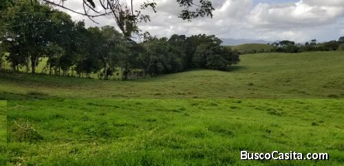 FINCA DE 300 TAREAS DE VENTA EN NAGUA