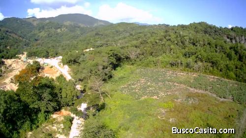 FINCA DE 35 TAREAS DE VENTA EN BLANCO VILLA ALTAGRACIA