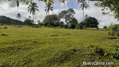 FINCA DE 2,500 TAREAS DE VENTA EN BONAO