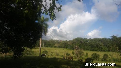 FINCA DE 508 TAREAS DE VENTA EN CASTILLO