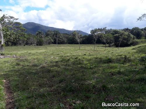 FINCA DE 115 TAREAS DE VENTA EN BONAO