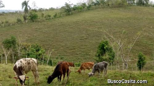 FINCA DE 110 TAREAS DE VENTA EN MONTE PLATA