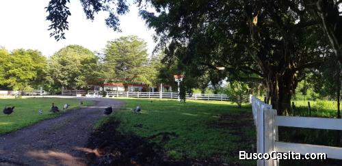 FINCA DE 3,000 TAREAS DE VENTA EN MONTE PLATA