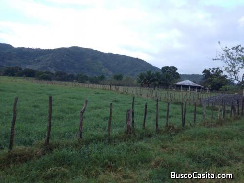 FINCA DE 5,000 TAREAS DE VENTA EN COTUÍ
