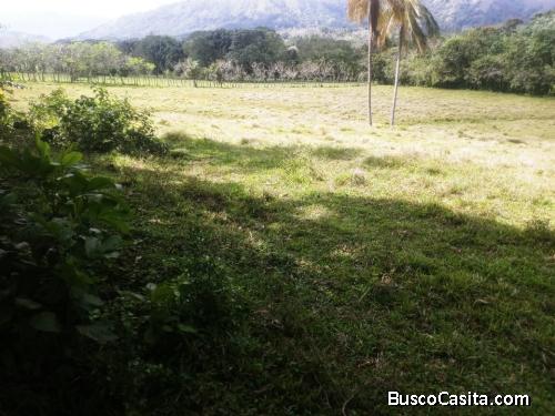 FINCA DE 1,400 TAREAS DE VENTA EN SAN JOSE DE OCOA