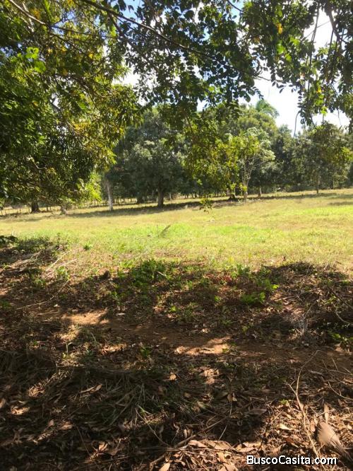 FINCA DE 1,300 TAREAS DE VENTA EN MONTE PLATA
