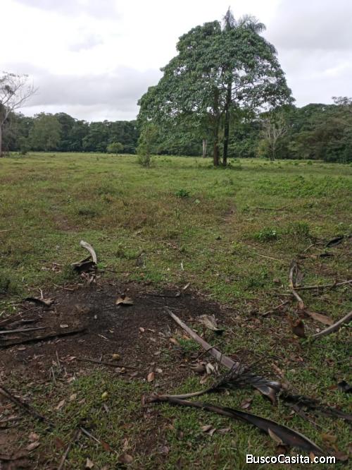 TERRENO DE 670,000 METROS DE VENTA EN SANTO DOMINGO
