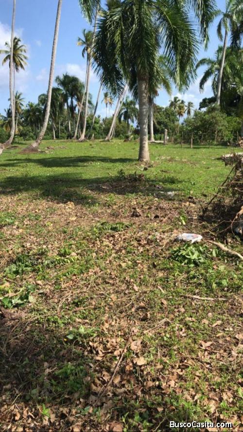 TERRENO DE 42,000 MTR CON PLAYA DE VENTA EN SAMANÁ