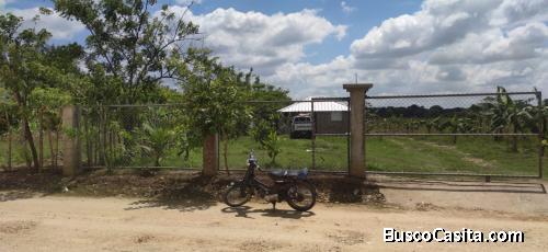 FINCA DE 150 TAREAS DE VENTA EN SAN FRANCISCO DE MACORÍS