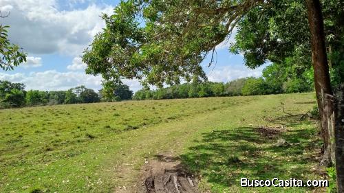 finca de 1,200 tareas de venta en cabrera nagua