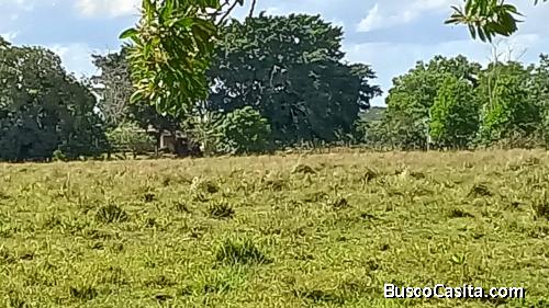 finca de 1,200 tareas de venta en cabrera nagua