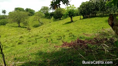 FINCA DE 1,150 TAREAS DE VENTA EN HATO MAYOR